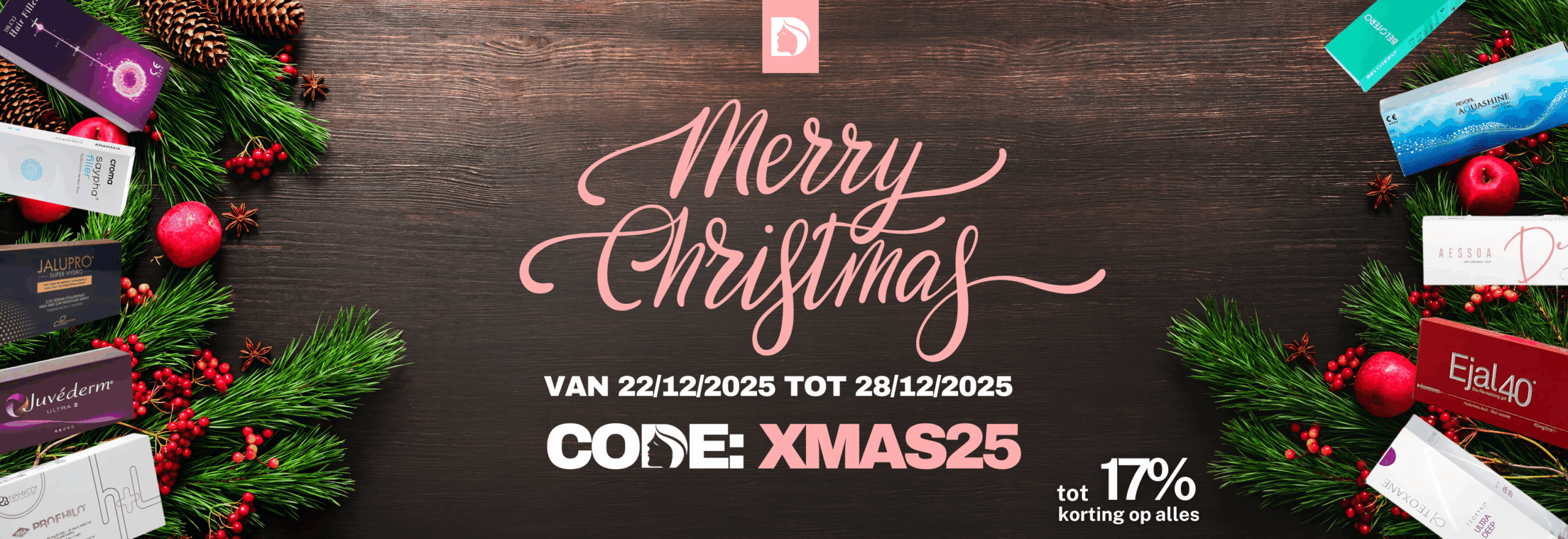 Christmas Banner dermal filler Desktop